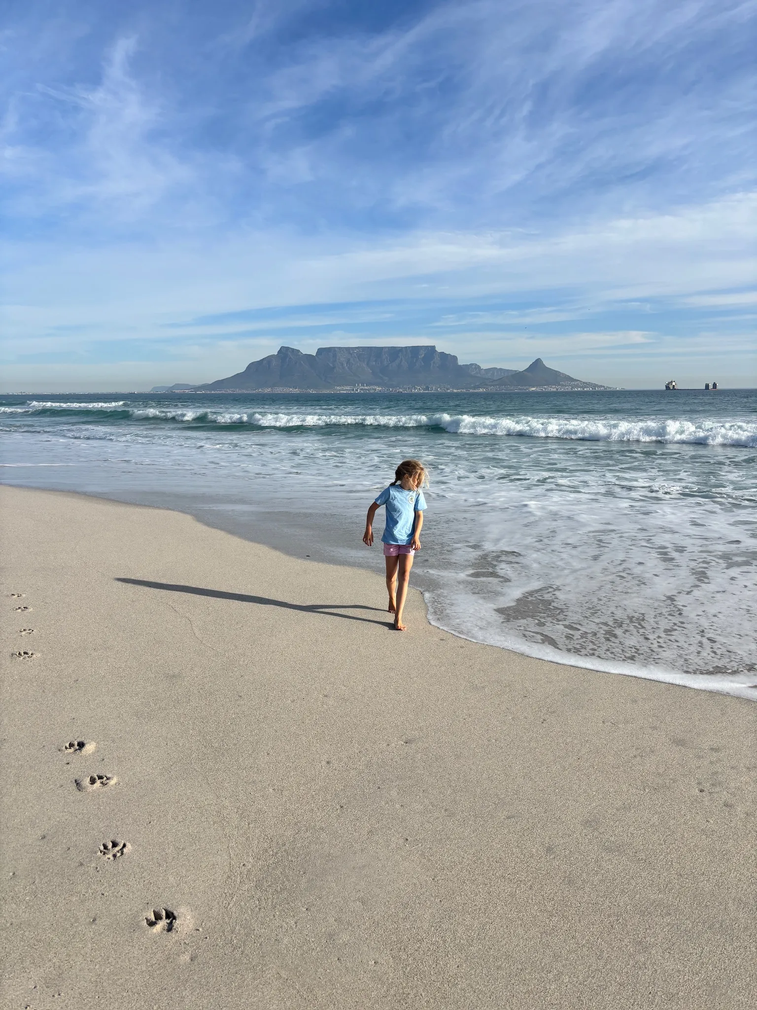 Merle läuft am Strand, dahinter der Tafelberg