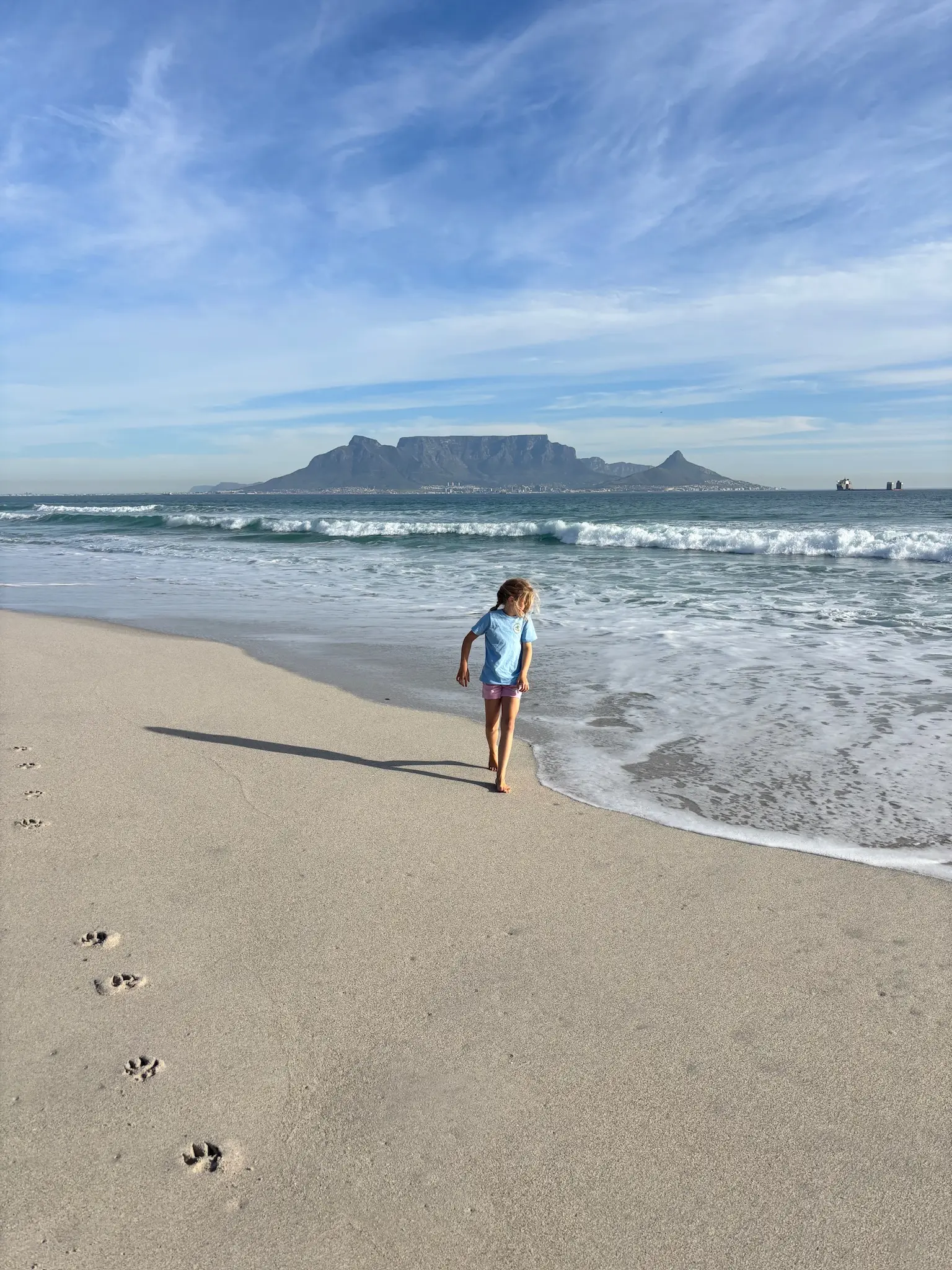 Merle läuft am Wasser, dahinter der Tafelberg